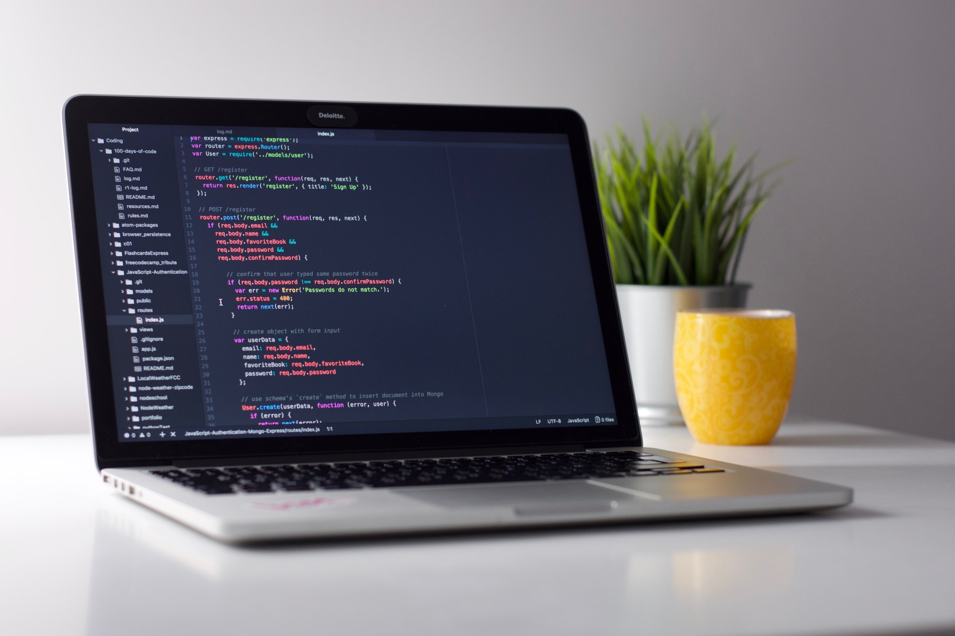 software Development